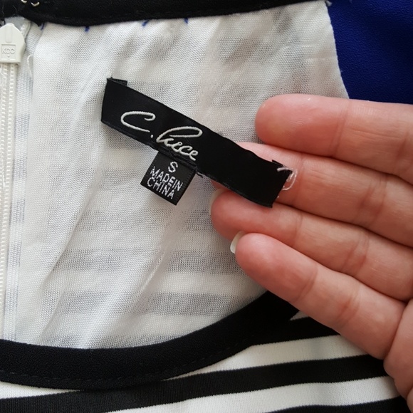 C. Luce Stripe Dress - Picture 4 of 5